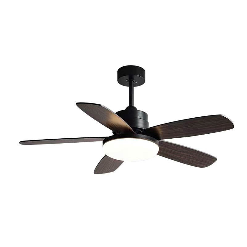 Suspension Model- F 298